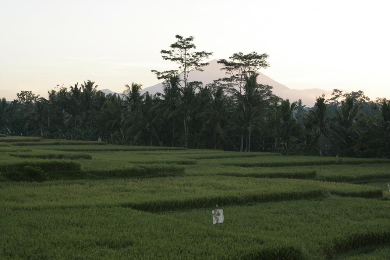 Hotel Viceroy Bali - CHSE Certified Ubud Esterno foto